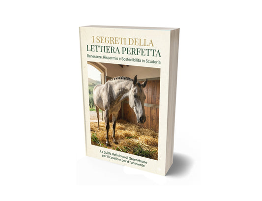 Ebook I SEGRETI DELLA LETTIERA PERFETTA